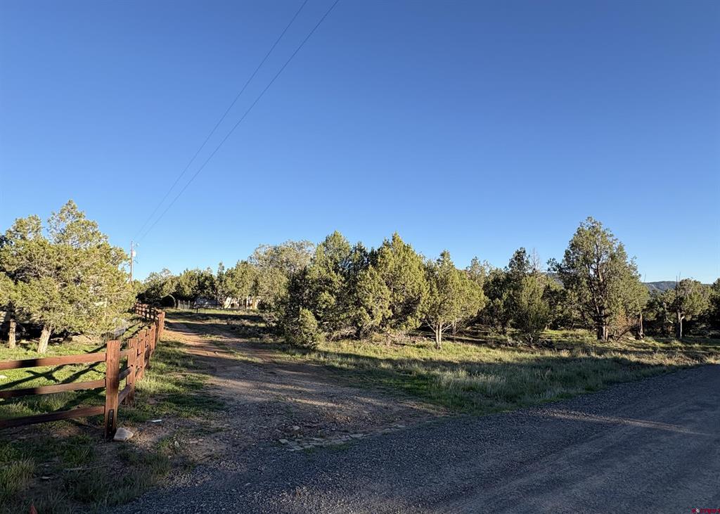 32 Easy Drive Arboles CO 81147