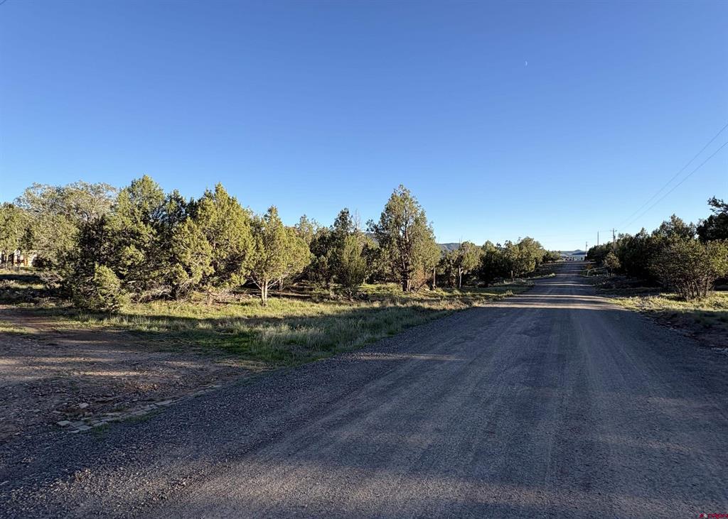 32 Easy Drive Arboles CO 81147