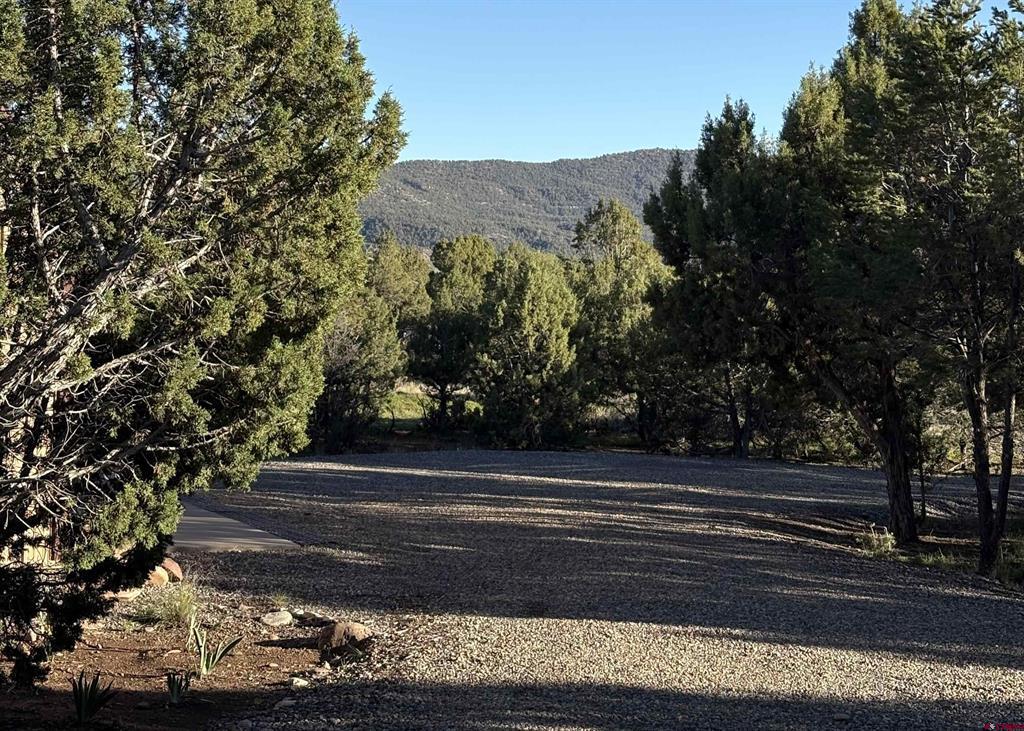 32 Easy Drive Arboles CO 81147