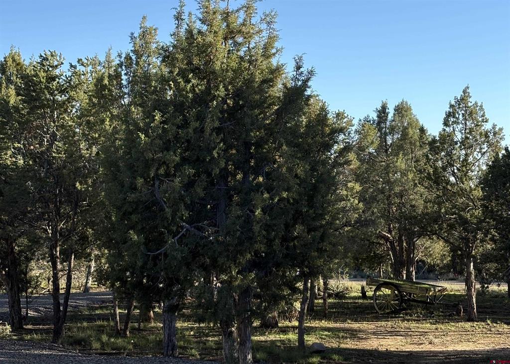 32 Easy Drive Arboles CO 81147