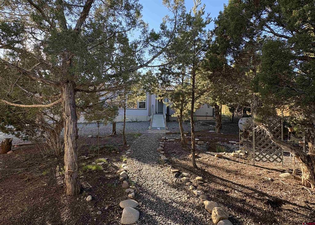 32 Easy Drive Arboles CO 81147