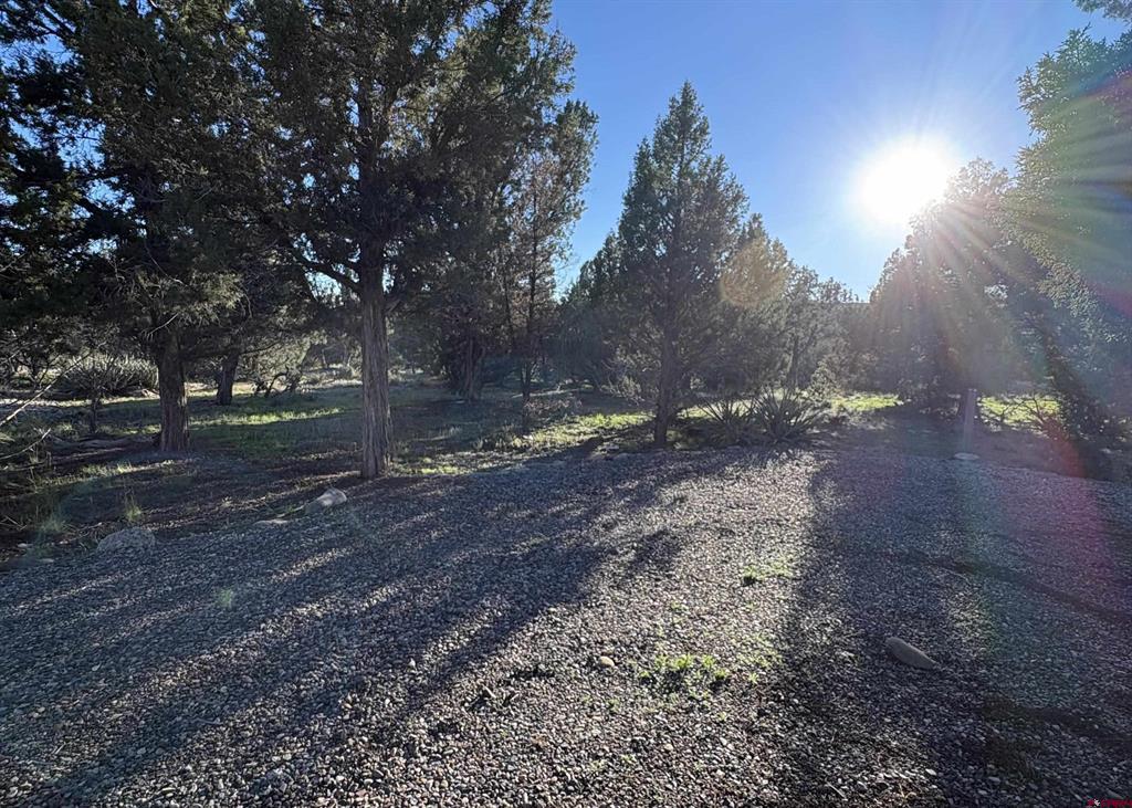 32 Easy Drive Arboles CO 81147