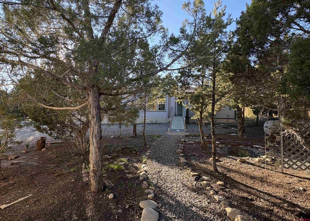 32 Easy Drive Arboles CO 81147