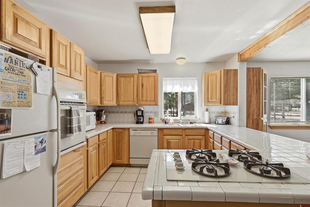 100 W Spruce Drive South Fork CO 81154