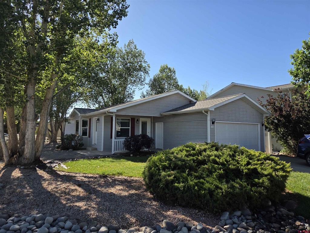231 Bristlecone Court Montrose CO 81401