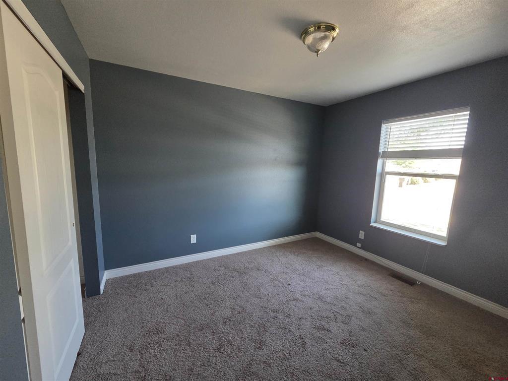 231 Bristlecone Court Montrose CO 81401