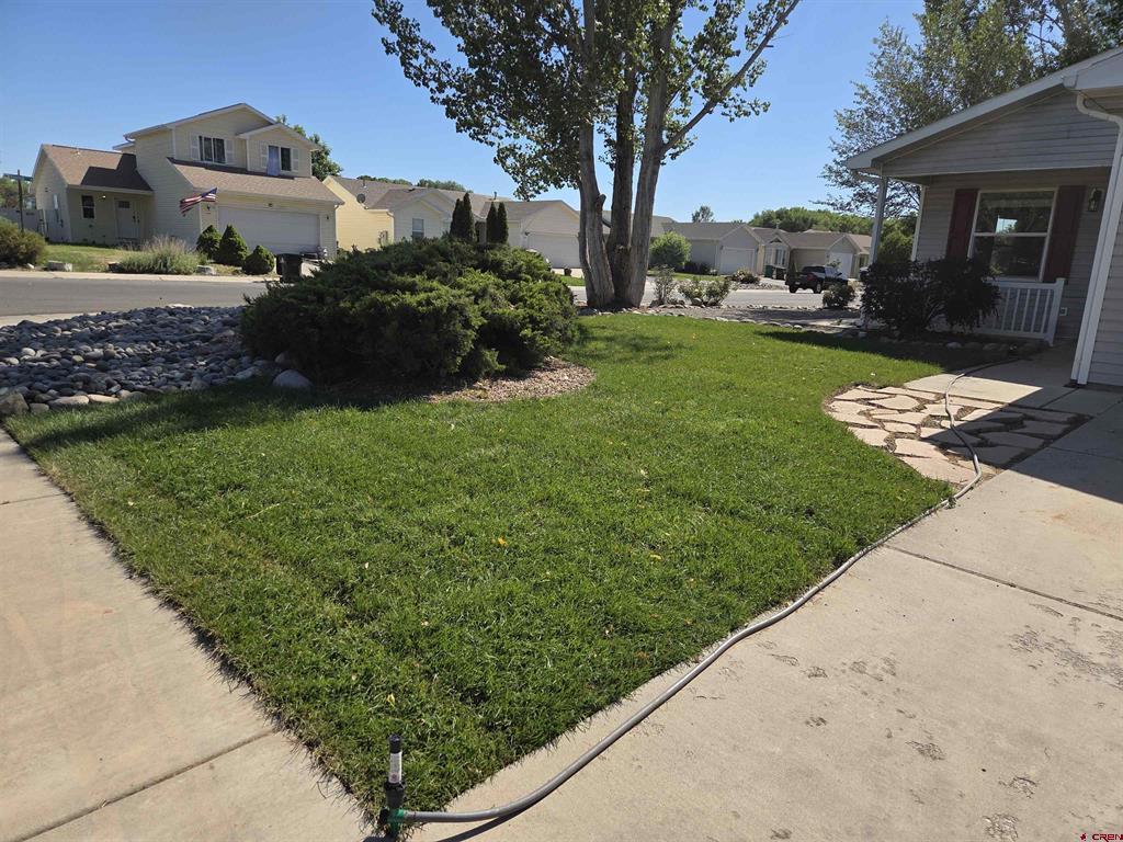 231 Bristlecone Court Montrose CO 81401