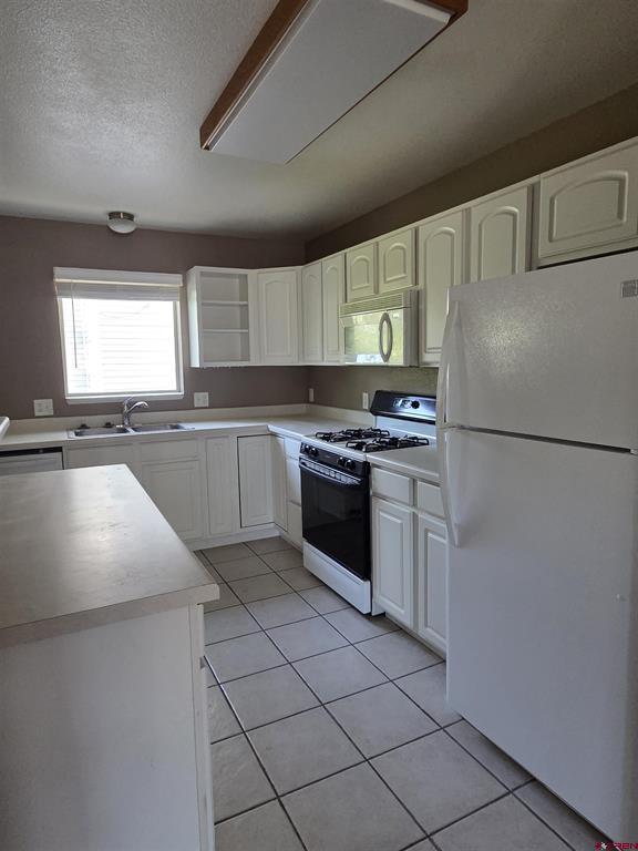 231 Bristlecone Court Montrose CO 81401