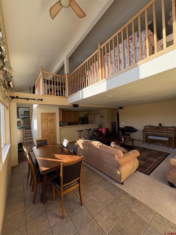 5 Ponderosa Court Montrose CO 81401