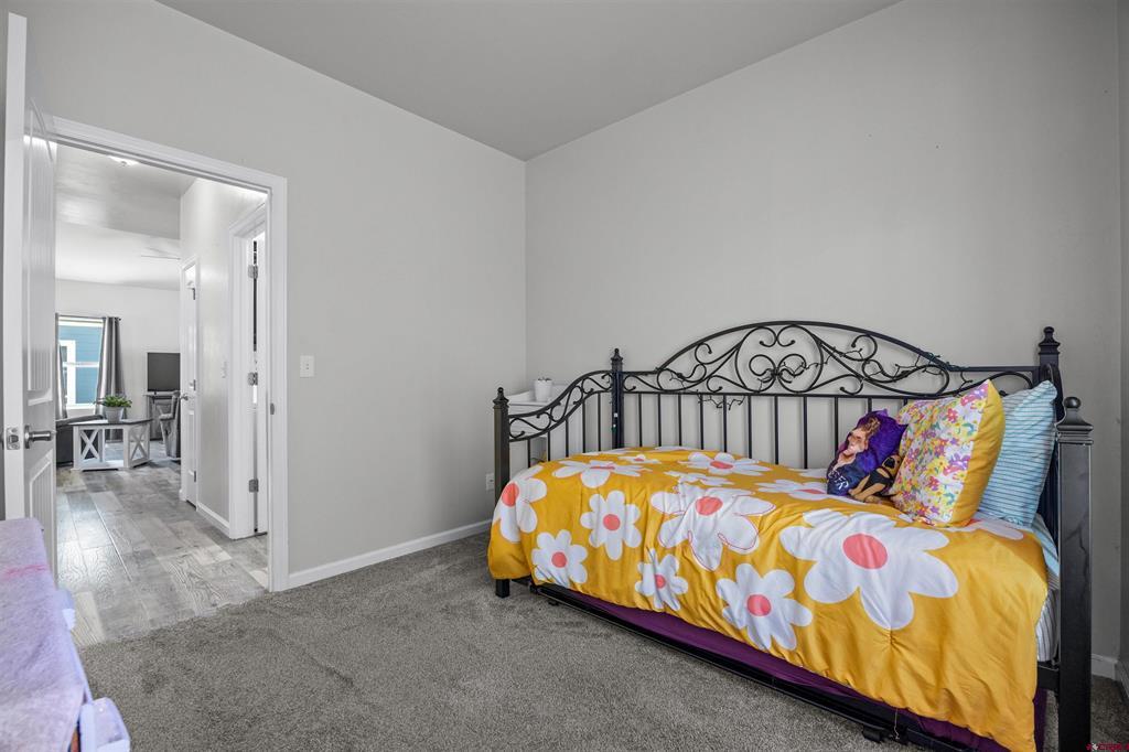 1210 Owl Creek Avenue Montrose CO 81401