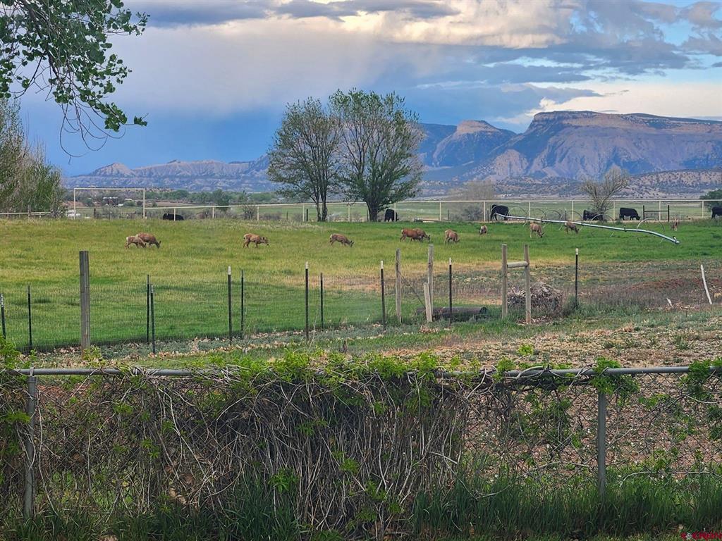 7886 Road 26.5 Cortez CO 81321