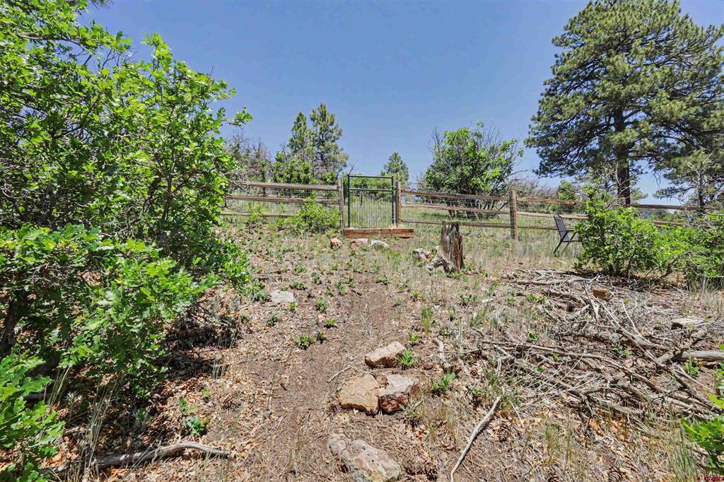 1312 Hills Circle Pagosa Springs CO 81147