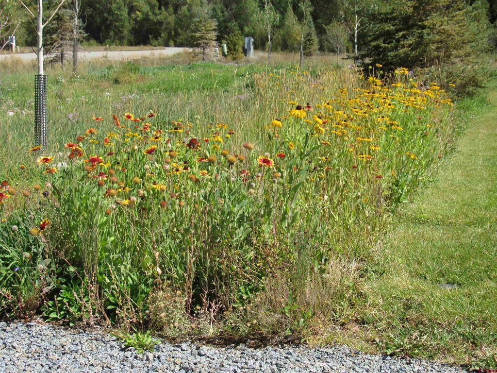 196 Kokanee Court Gunnison CO 81230