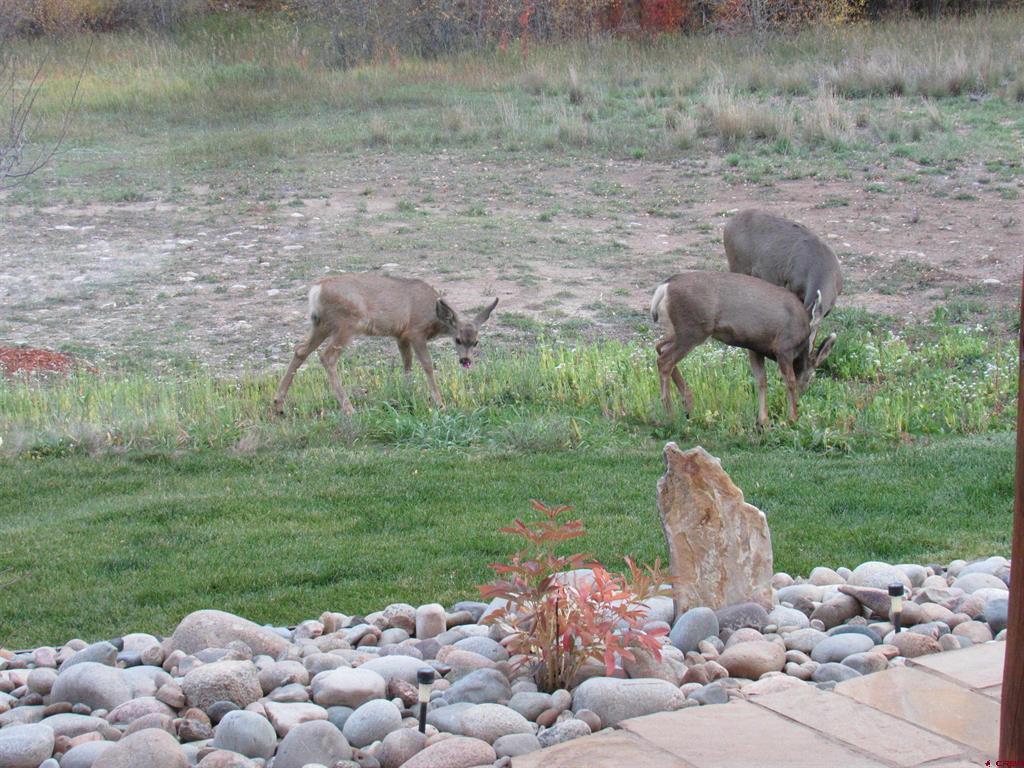 196 Kokanee Court Gunnison CO 81230