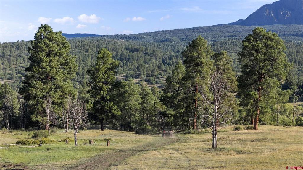 County Road 382 Road Chromo CO 81147