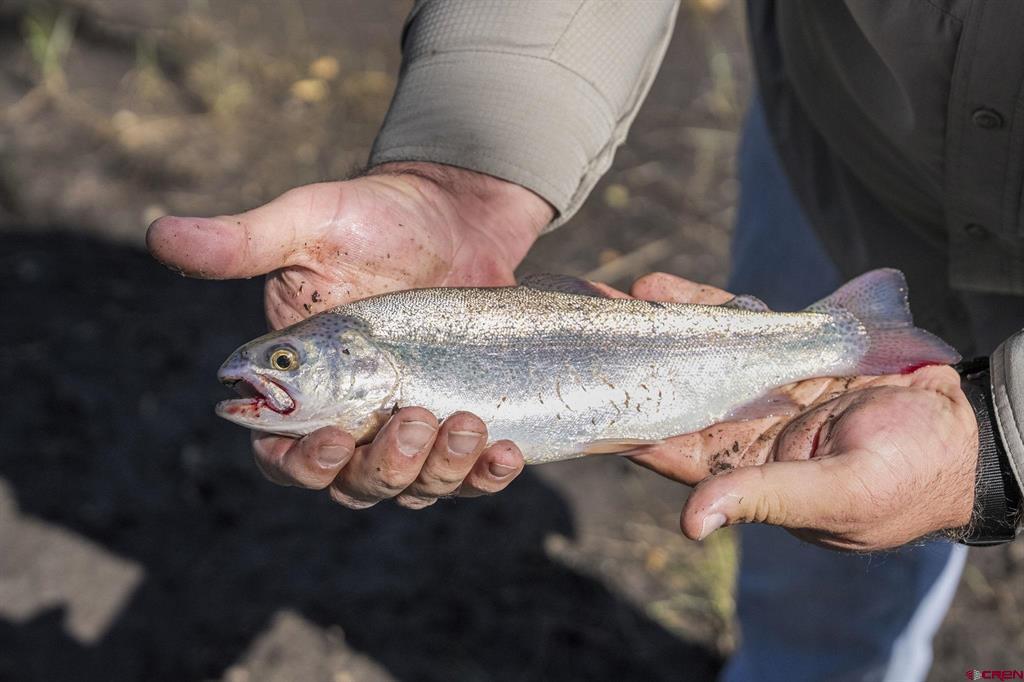 County Road 382 Road Chromo CO 81147