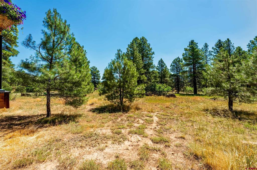 122 Stevens Circle Pagosa Springs CO 81147