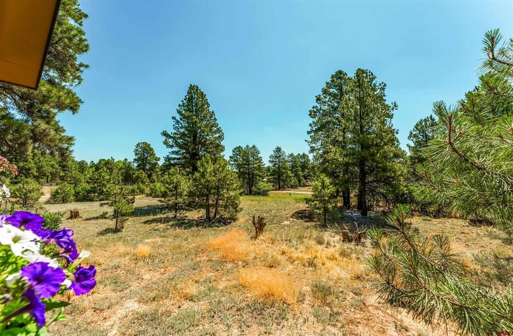 122 Stevens Circle Pagosa Springs CO 81147