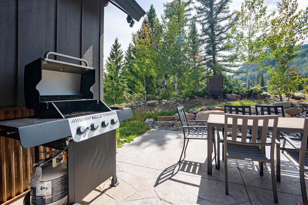 9 Penstock Court Durango CO 81301