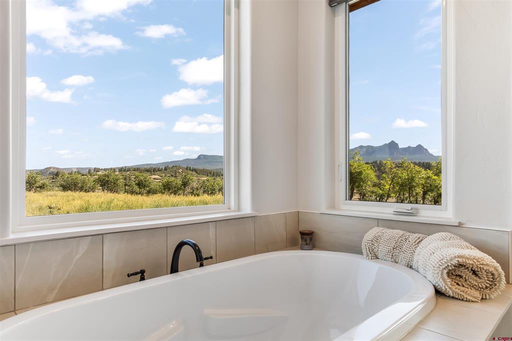 767 Henry's Lake Drive Pagosa Springs CO 81147