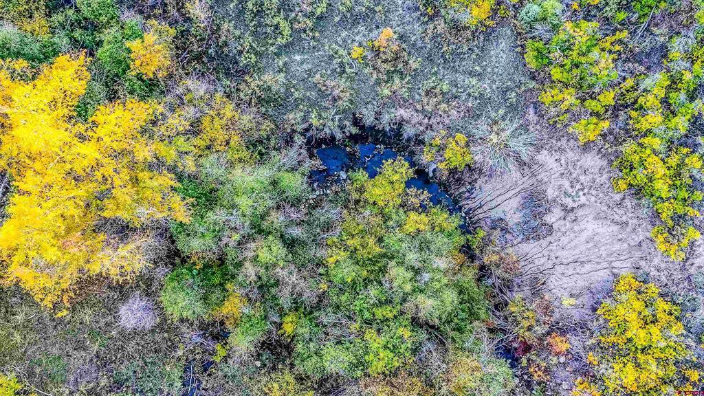 45501 Road L Mancos CO 81328
