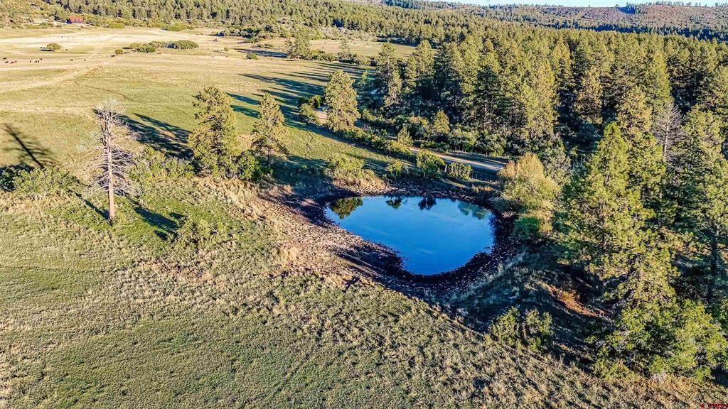 45501 Road L Mancos CO 81328