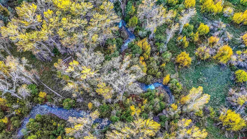 45501 Road L Mancos CO 81328