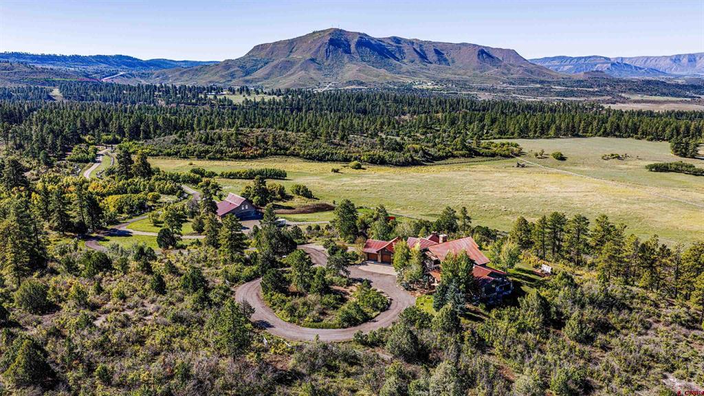 45501 Road L Mancos CO 81328