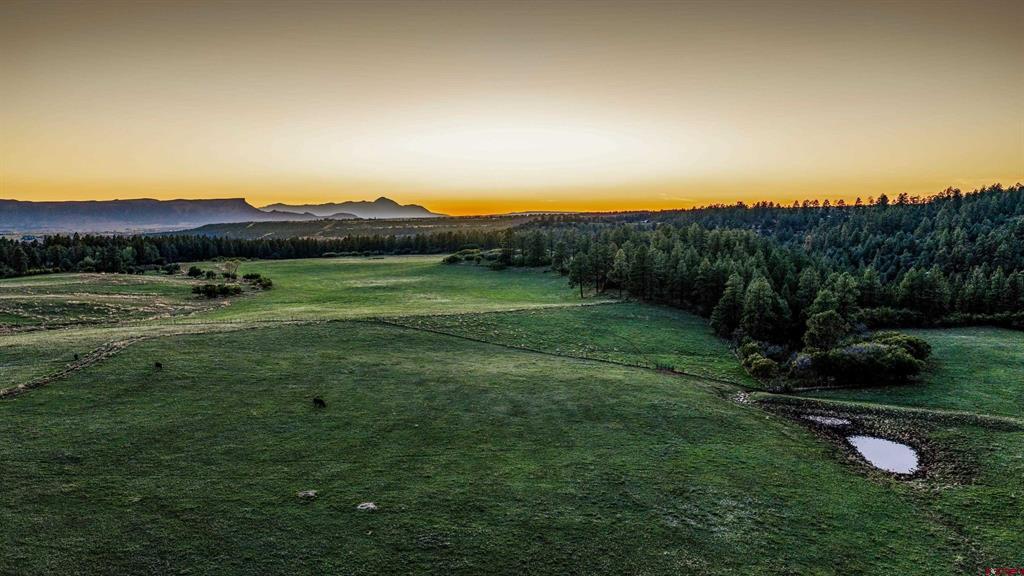 45501 Road L Mancos CO 81328