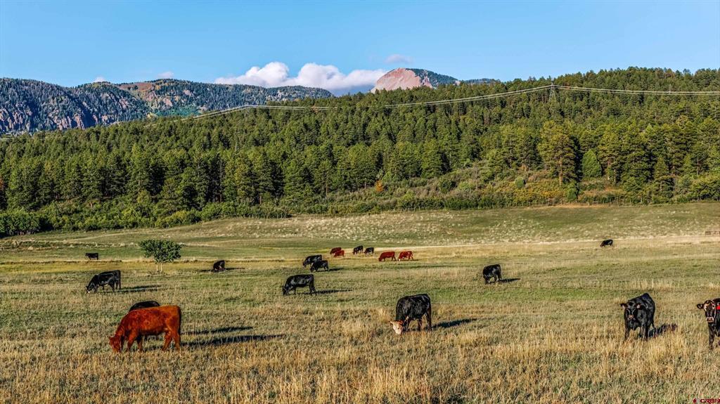 45501 Road L Mancos CO 81328