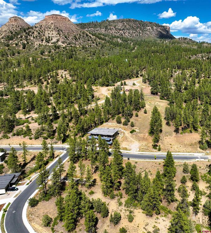 893 Twin Buttes Avenue Durango CO 81301