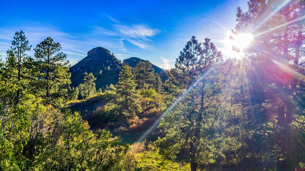 893 Twin Buttes Avenue Durango CO 81301