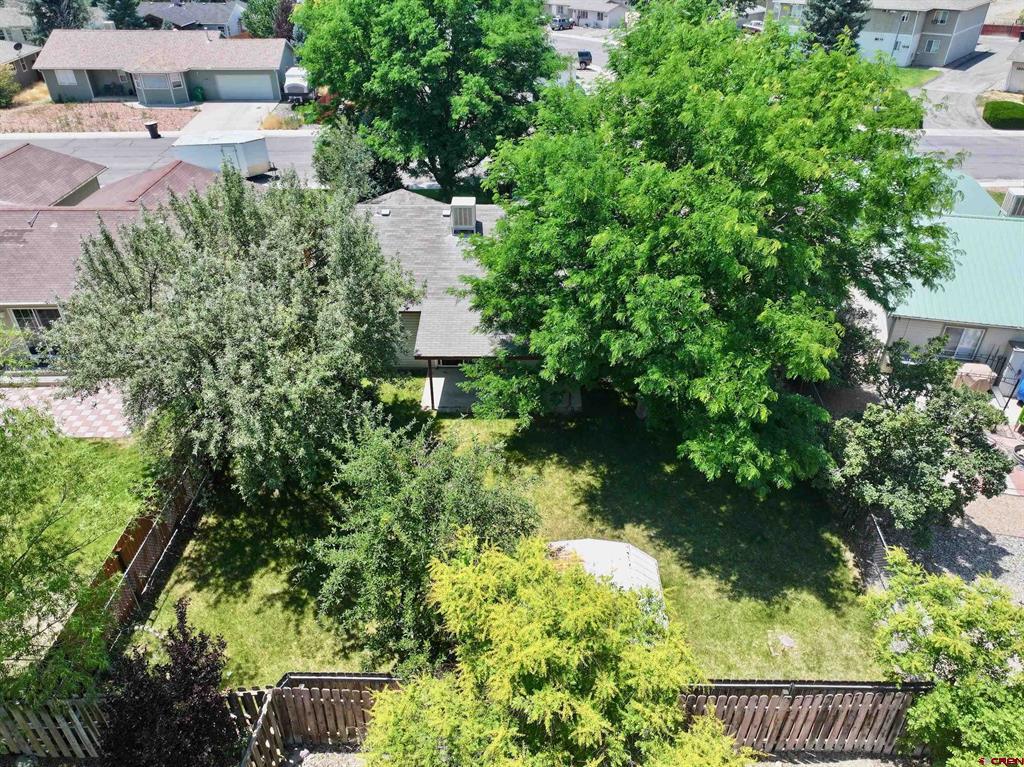 1909 Ouray Drive Montrose CO 81401