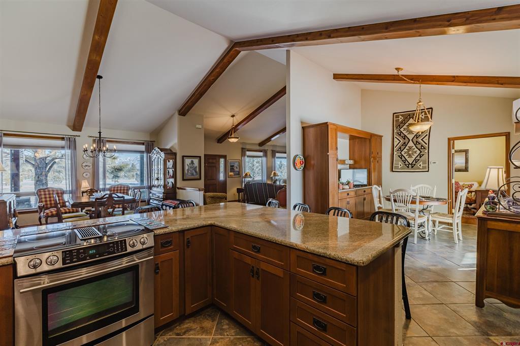 141 Vista San Juan Pagosa Springs CO 81147