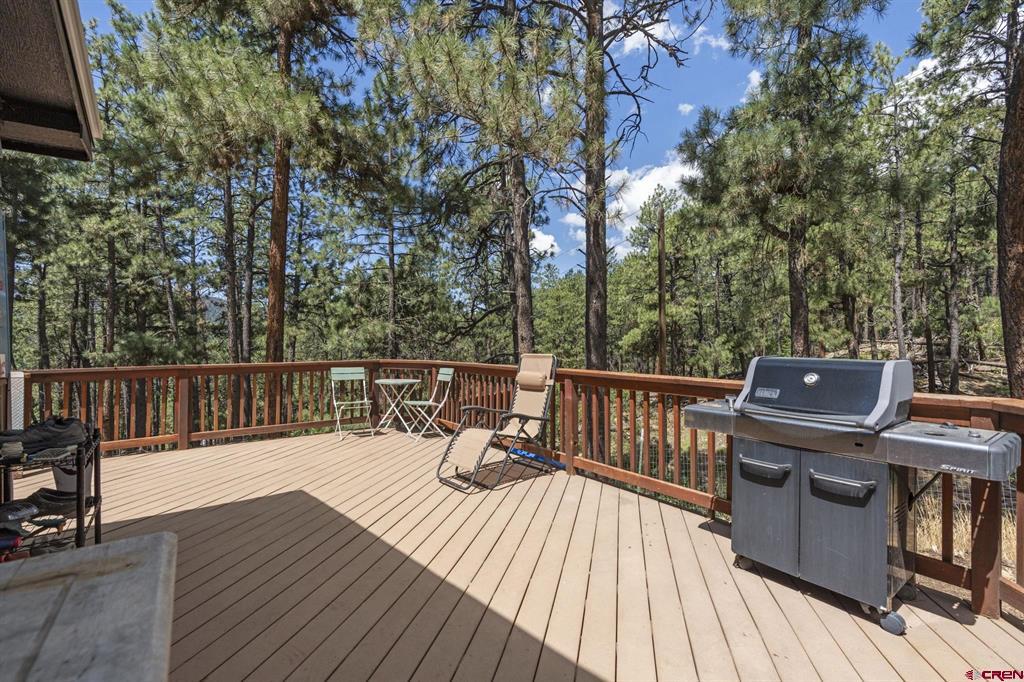 448 Deer Ridge Durango CO 81122