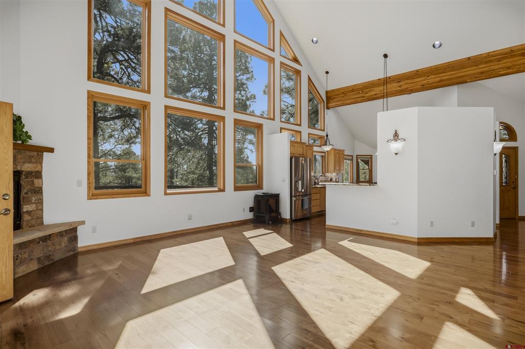 45 Diamond Court Pagosa Springs CO 81147