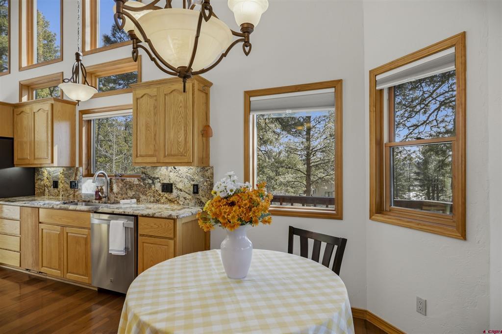 45 Diamond Court Pagosa Springs CO 81147