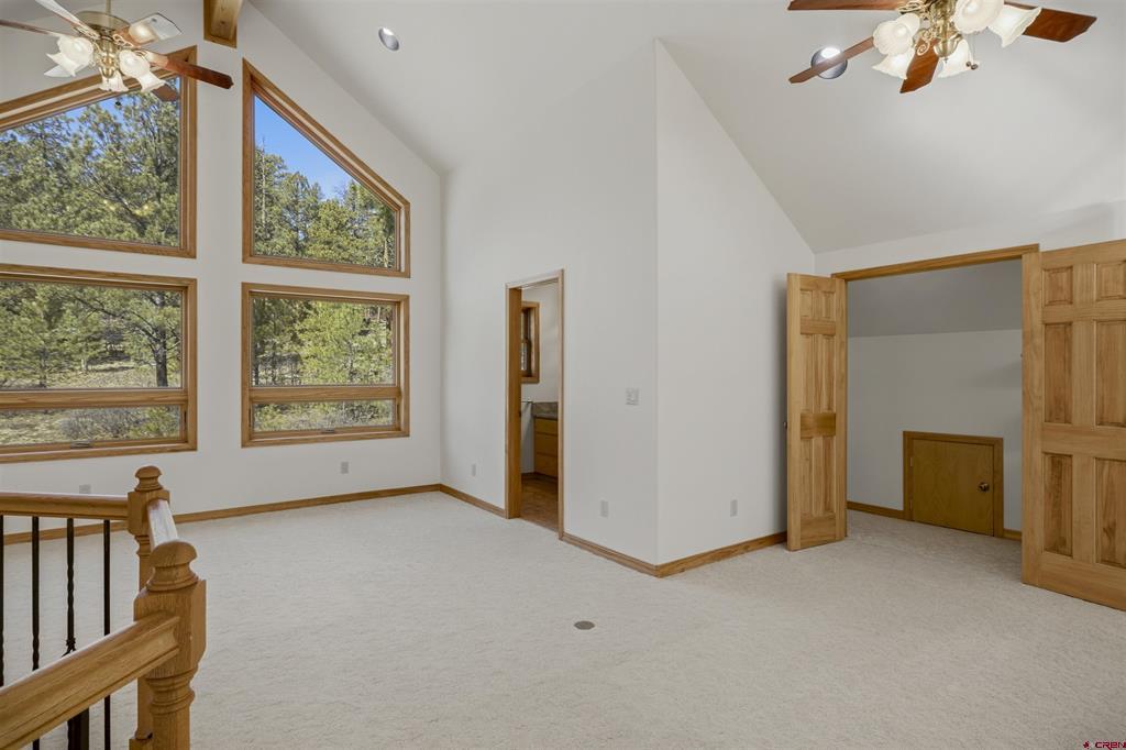 45 Diamond Court Pagosa Springs CO 81147