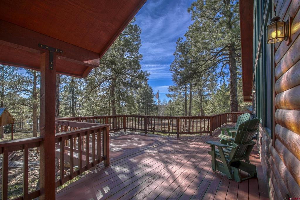 45 Diamond Court Pagosa Springs CO 81147