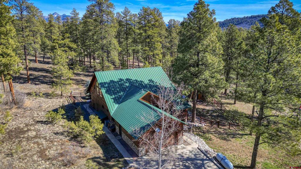 45 Diamond Court Pagosa Springs CO 81147