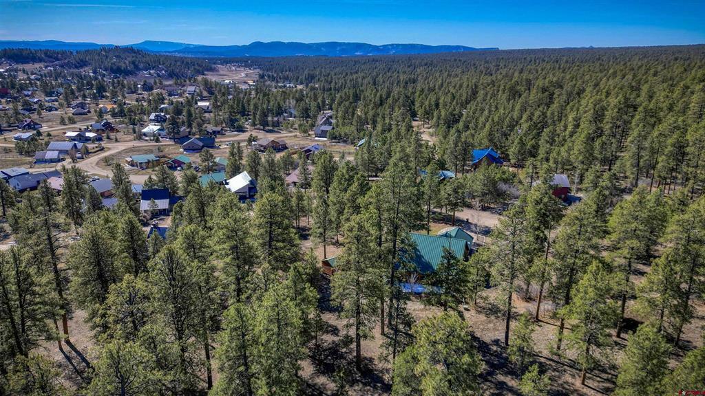 45 Diamond Court Pagosa Springs CO 81147