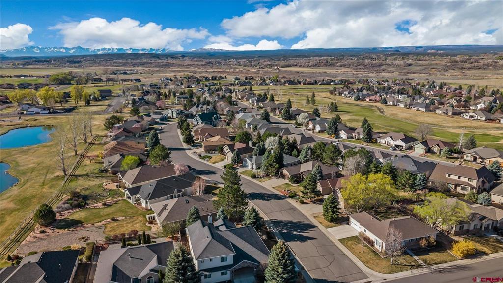 3712 Buffalo Lane Montrose CO 81403