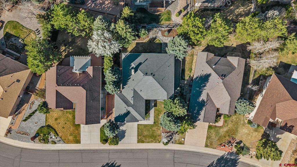 3712 Buffalo Lane Montrose CO 81403
