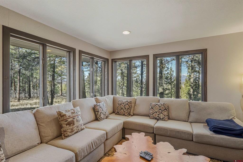1335 Shenandoah Drive Pagosa Springs CO 81147