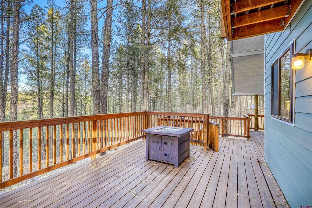 1335 Shenandoah Drive Pagosa Springs CO 81147