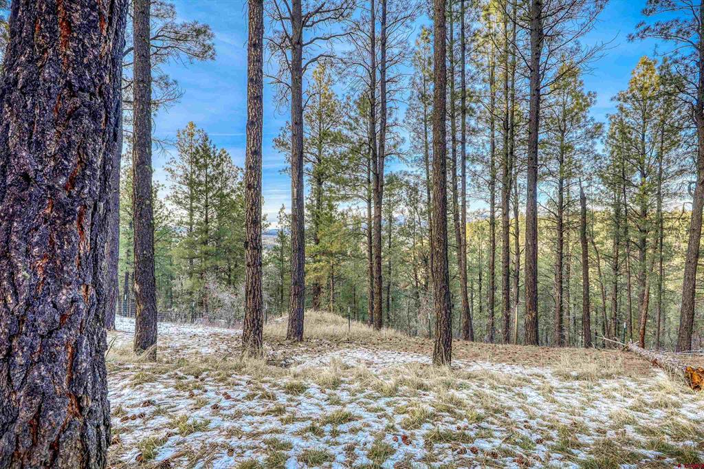1335 Shenandoah Drive Pagosa Springs CO 81147