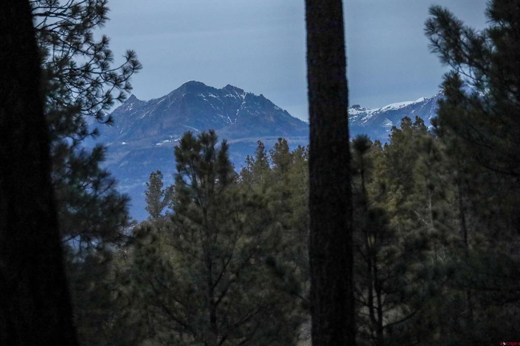 1335 Shenandoah Drive Pagosa Springs CO 81147
