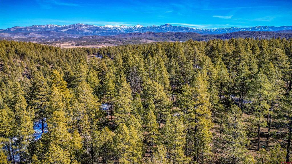 1335 Shenandoah Drive Pagosa Springs CO 81147