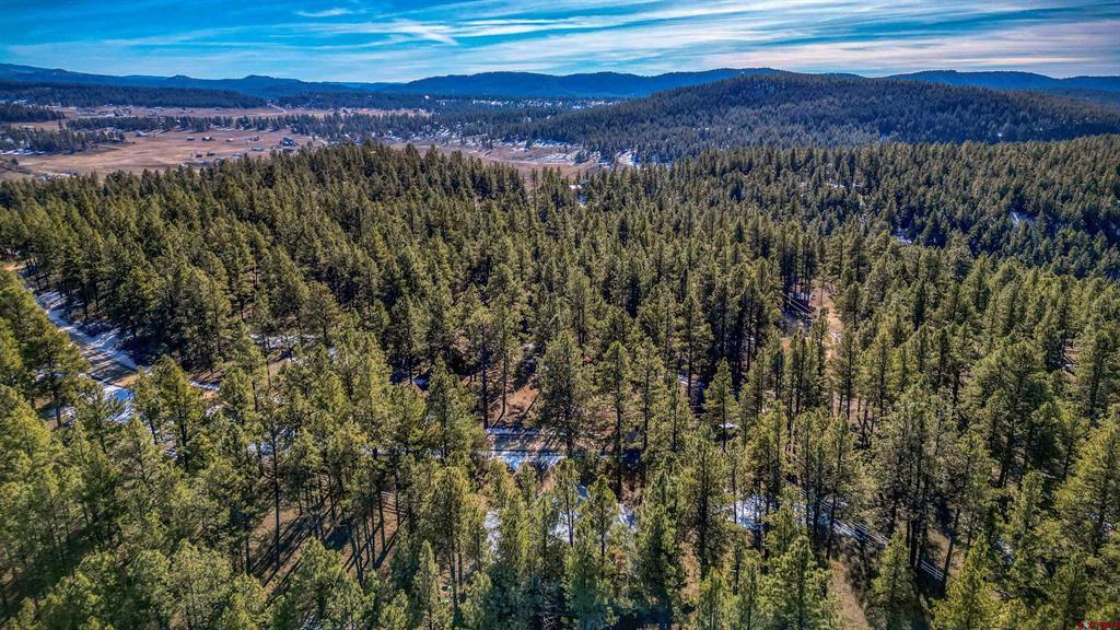 1335 Shenandoah Drive Pagosa Springs CO 81147
