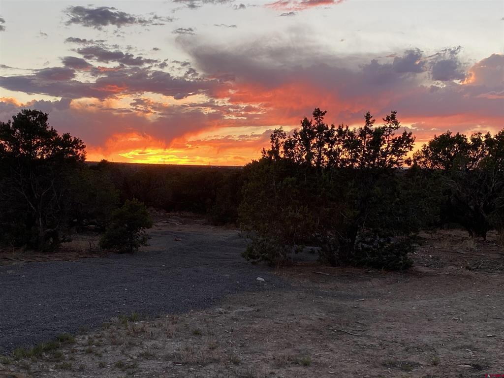 15773 6000 Road Montrose CO 81403